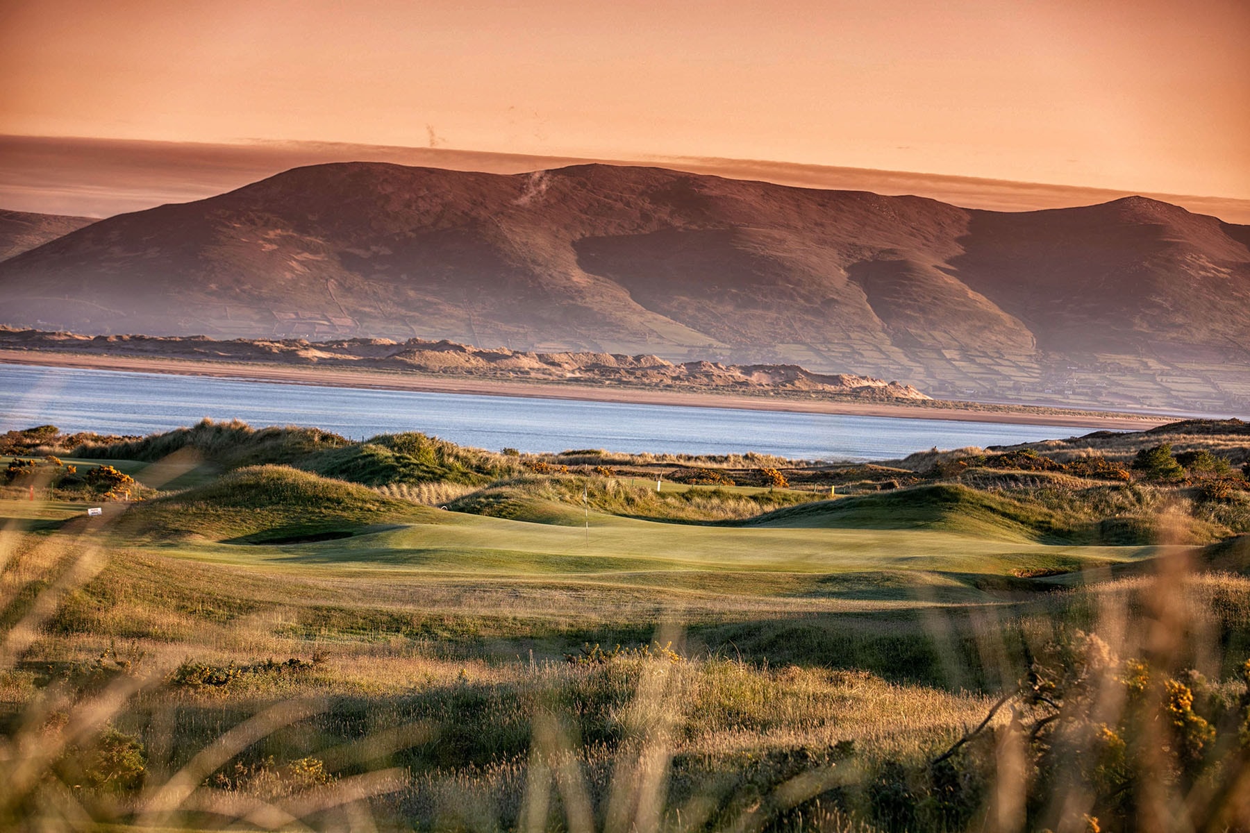 Golden hour light raking through the Dooks dunes